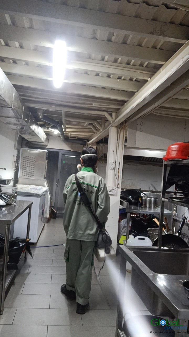 dịch vụ diệt côn trùng (5)