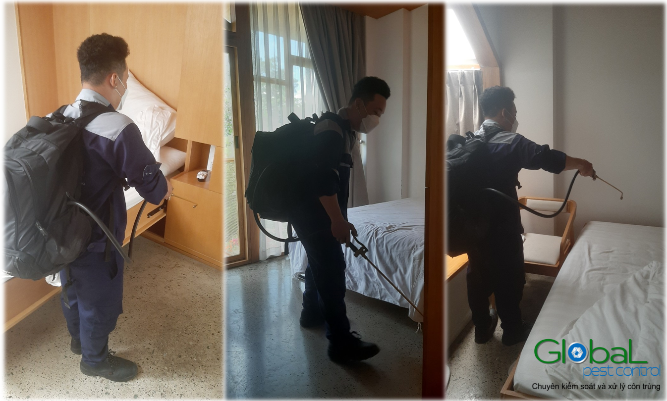 screenshot 1683726031 Copy