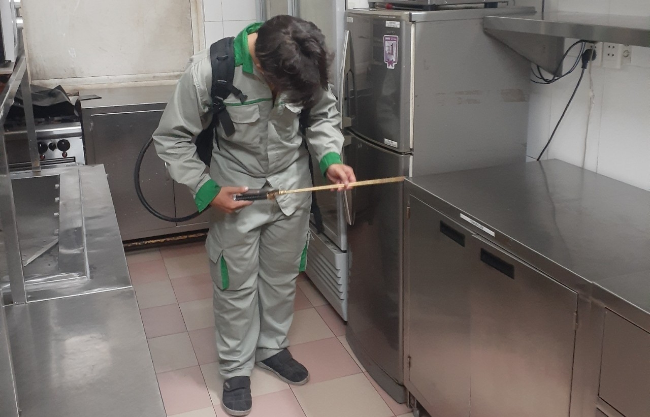 z4333029732095 ba85bc1bbf2ced3efa0a7f9415fc23e8