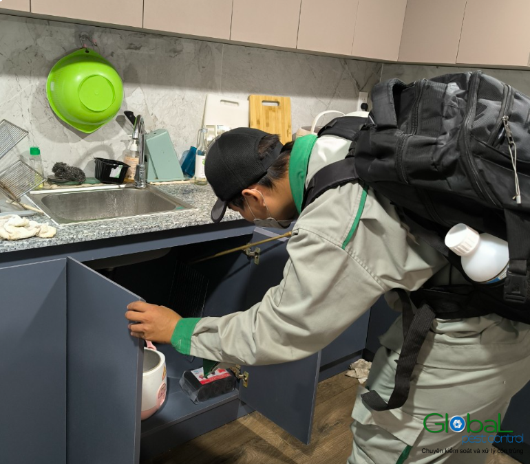 Cách chọn dịch vụ diệt côn trùng phù hợp với nhu cầu